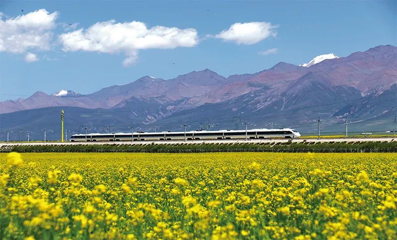 張玉卓、國資、央企、國資委、書記、主任、國企、企業(yè)改革